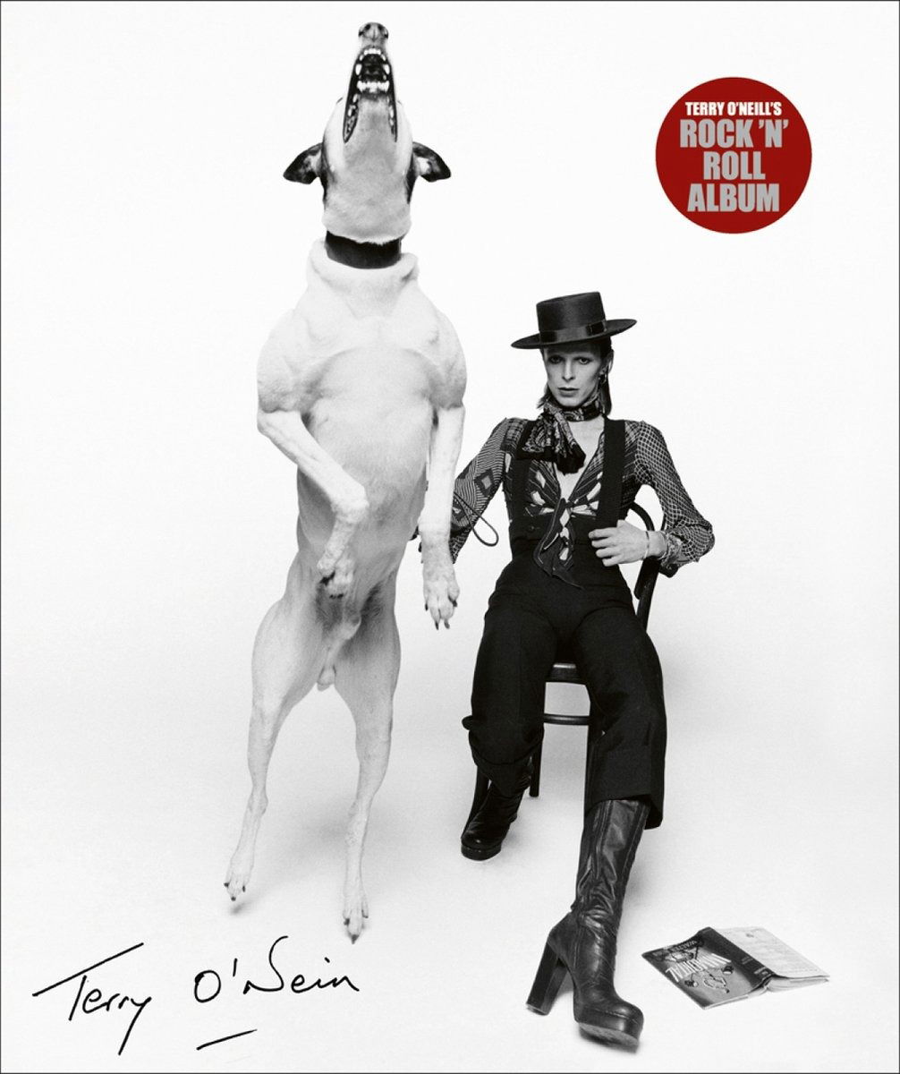 Terry O'Neill's Rock 'n' Roll Album: Das A-Z des Rock 'N' Roll