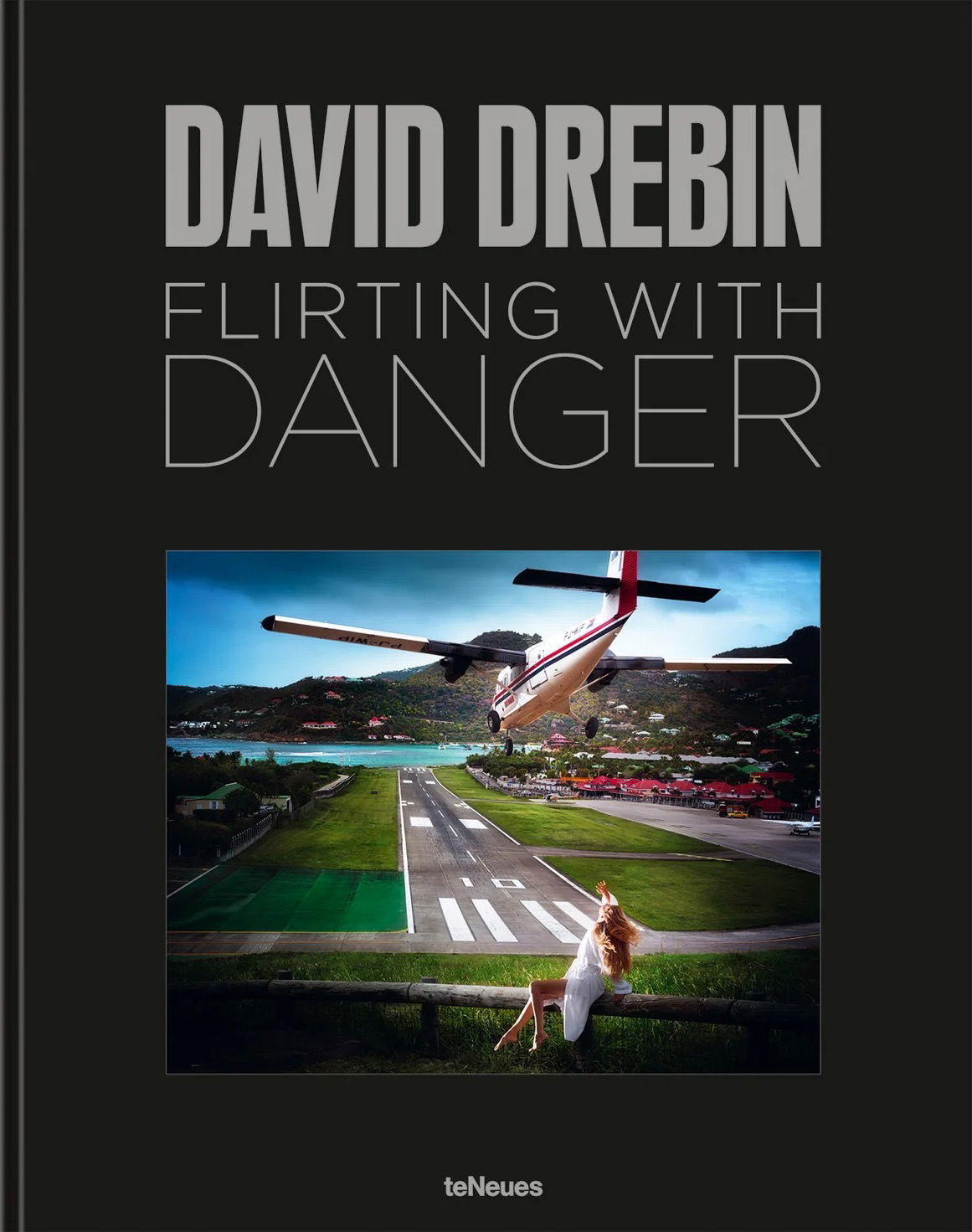 David Drebin: Flirt mit der Gefahr