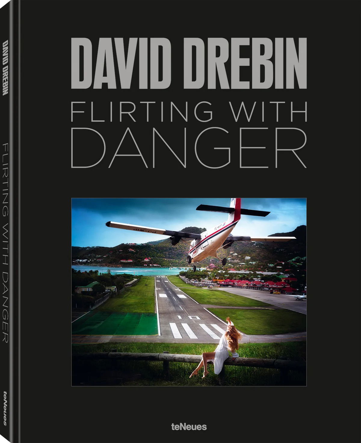 David Drebin: Flirt mit der Gefahr